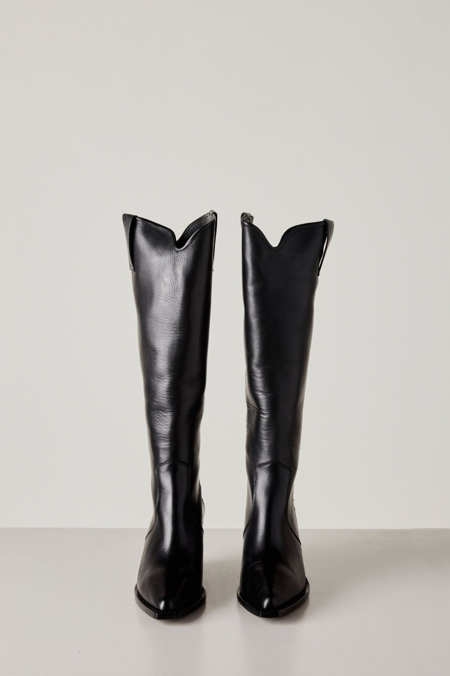 Accessories Anine Bing | Anine Bing Tall Tania Boot